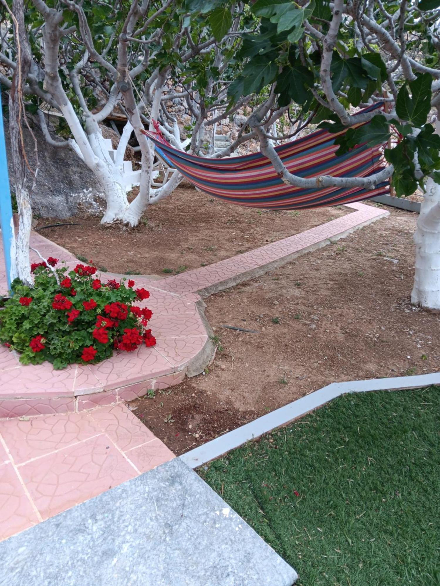 Villa Anna Skaliá المظهر الخارجي الصورة